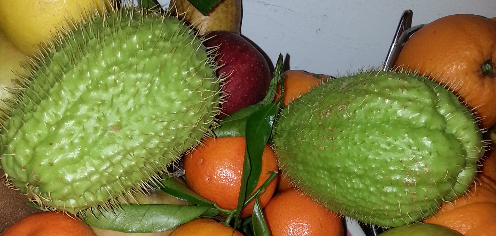 succo di chayote per dimagrire